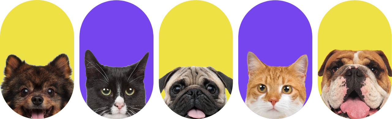 Haz de este capítulo en la historia con tu mascota uno de los mejores.